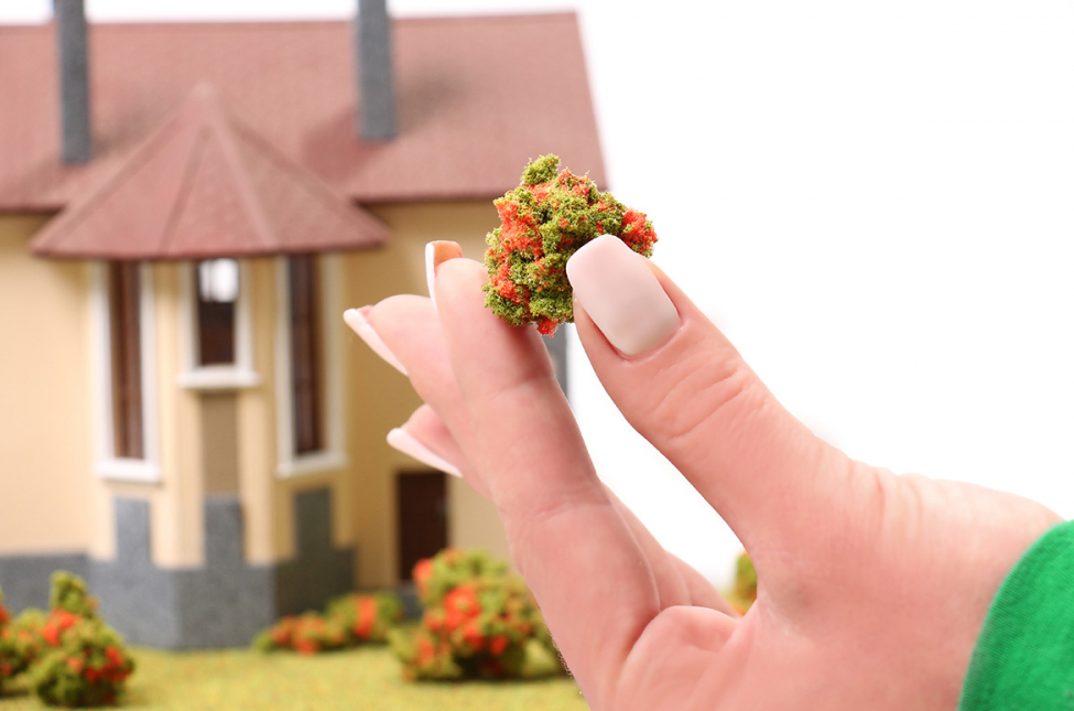 001fkc003 Комковой фолиаж. Красные цветы для макета.