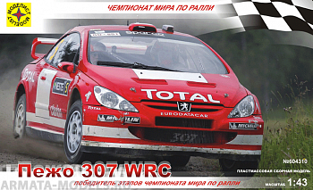 604310 Автомобиль Пежо 307 WRC
