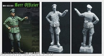 B6-35133 Herr Offizier